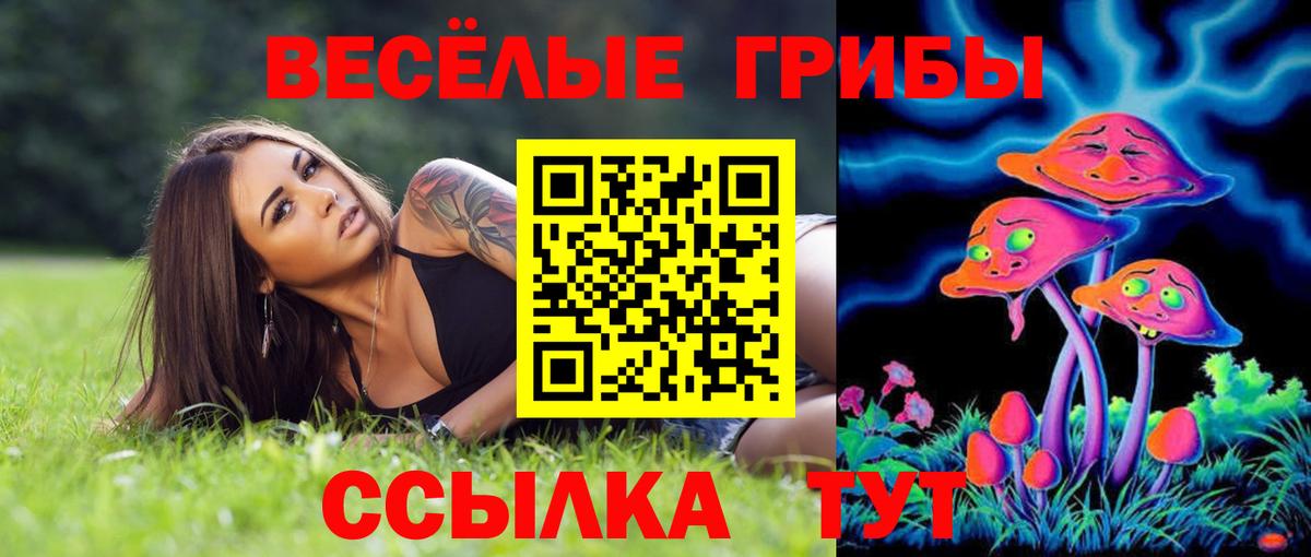 Галлюциногенные грибы Psilocybine cubensis Волжский