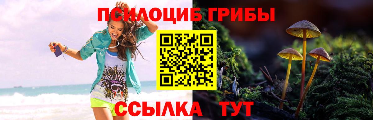 Волжский  Галлюциногенные грибы MAGIC MUSHROOMS  Вход с VPN 